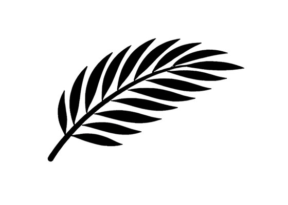 Palma