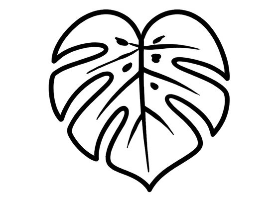 Monstera